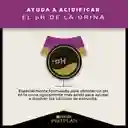Comida para Gatos Adultos cuidado urinario Purina Pro Plan x 3 kg