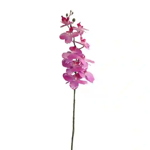 Orquidea Gio Home 3d Morado