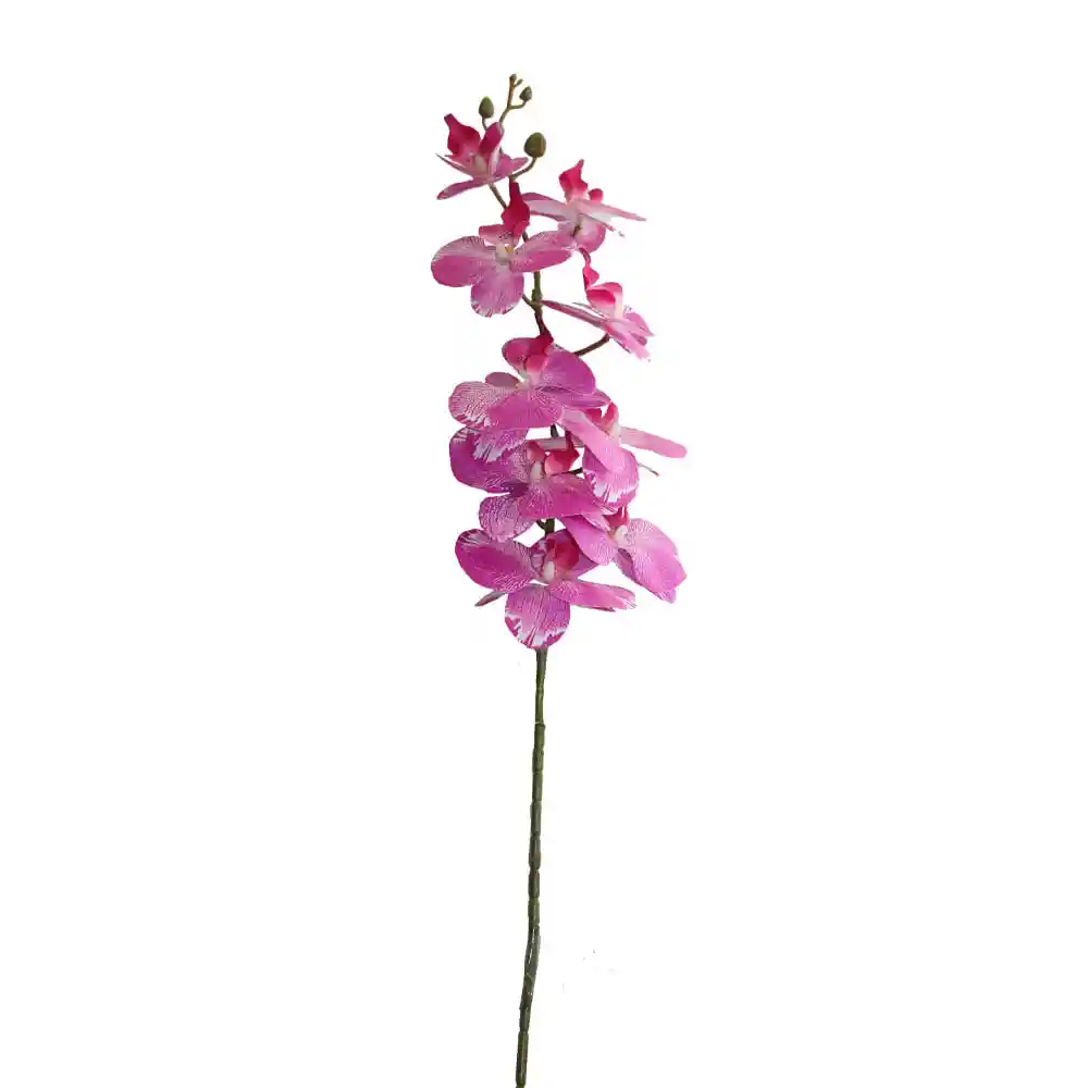 Orquidea Gio Home 3d Morado