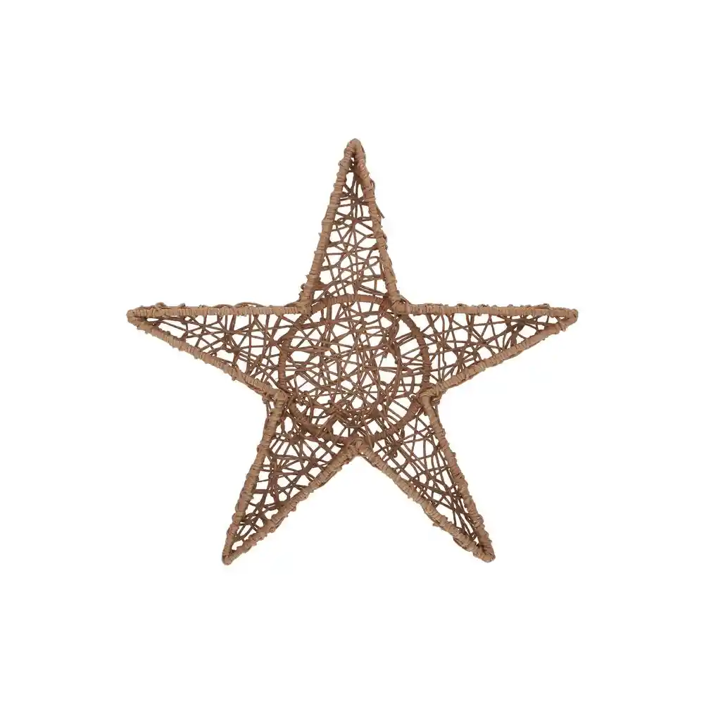 Estrella Pasantera Promotora Comercio Social 427107