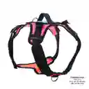 Arnés Pechera Para Perro Rex L Azul/rosado/naranja