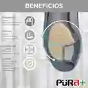 Pura más  Punteras Zapatos Gamuza Gel