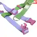 Arnes Para Mascota