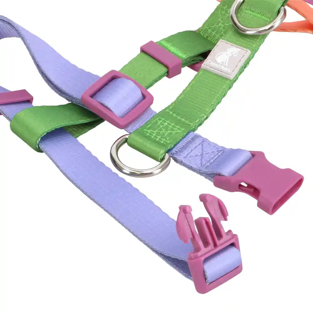 Arnes Para Mascota