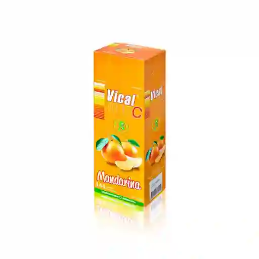 Vical Ecar Ltda Vitamina C Blister 500 Mg Manda Mast 144 T