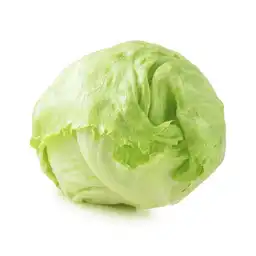 Lechuga Batavia