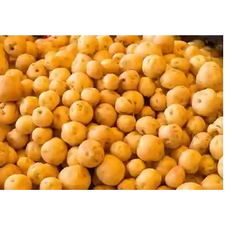 Papa Criolla