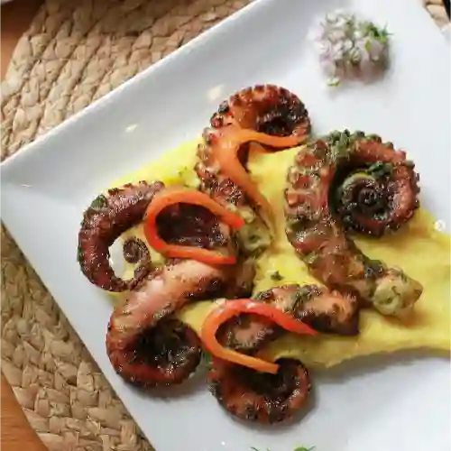 Pulpo a la Parrilla