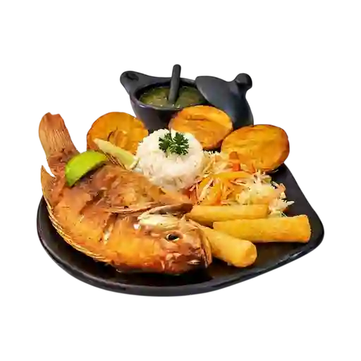 Mojarra