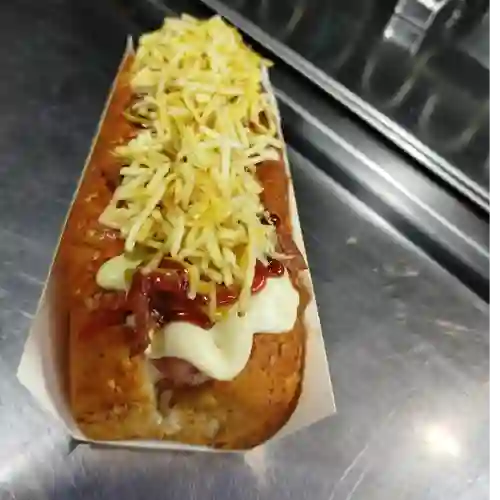 Perro Especial