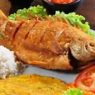 Mojarra