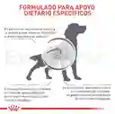 Royal Canin Alimento Húmedo para Perro Adulto Hepatic
