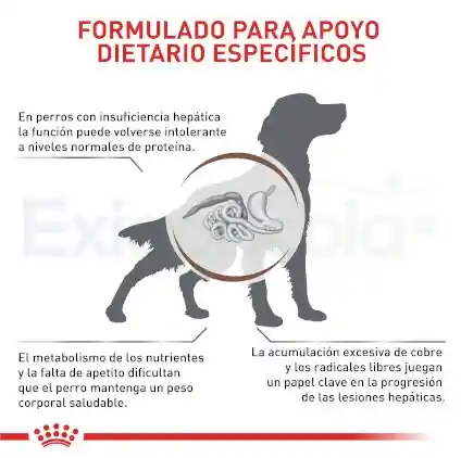 Royal Canin Alimento Húmedo para Perro Adulto Hepatic
