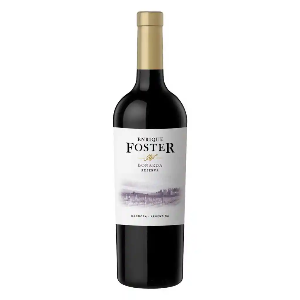 Enrique Foster Vino Tinto Reserva Bonarda