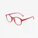 B+D Gafas Reading Loop Ro + 2.00