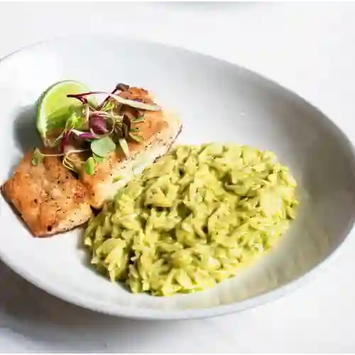 Salmón Miso