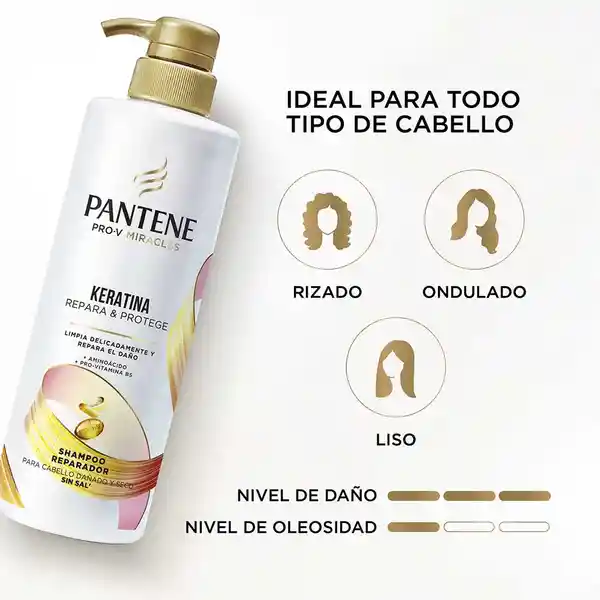 Champu de Cabello Pantene Repara y Protege (510 Ml)