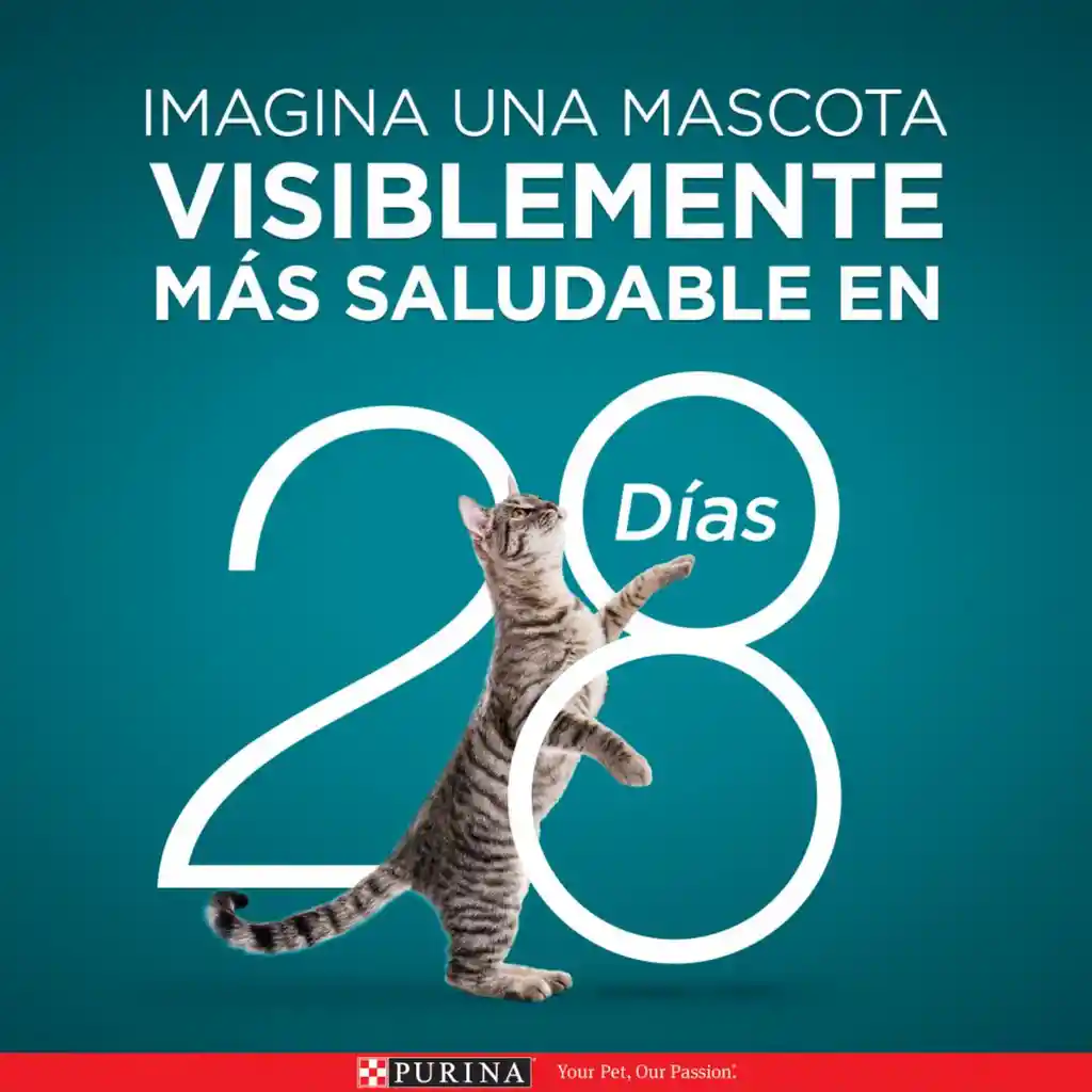 Comida para Gatitos y gatos adultos Purina One sabor a Salmón, atún y pescado blanco x 85gr
