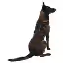 Arnés Pechera Para Perro Rex M Negro