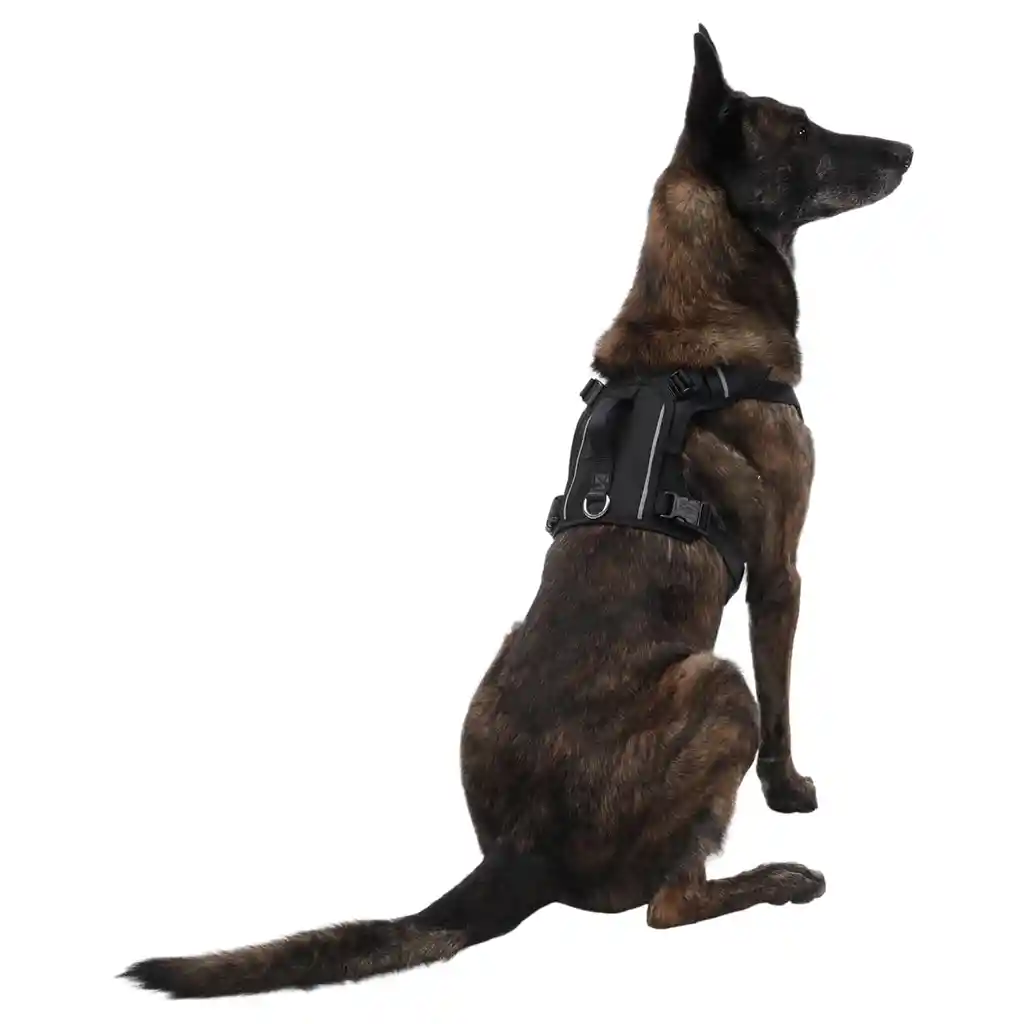 Arnés Pechera Para Perro Rex M Negro