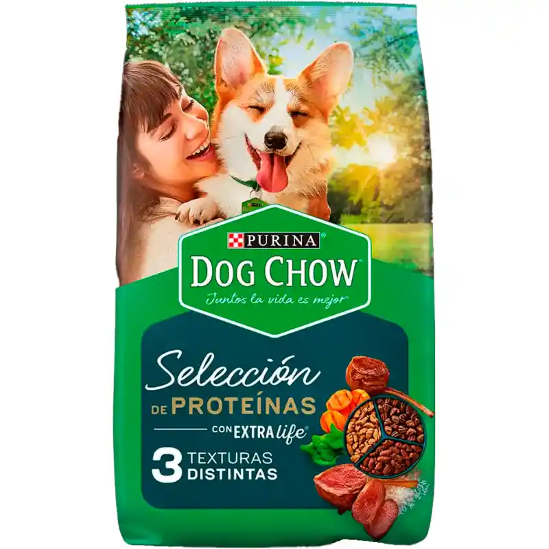 Comida para Perros Purina Dog Chow Selección Proteina Cordero x 2 kg