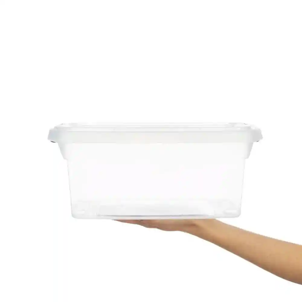 Caja Organizadora Plastico San Remo Sr901/555