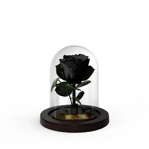 Rosa Preservada Negra Mini