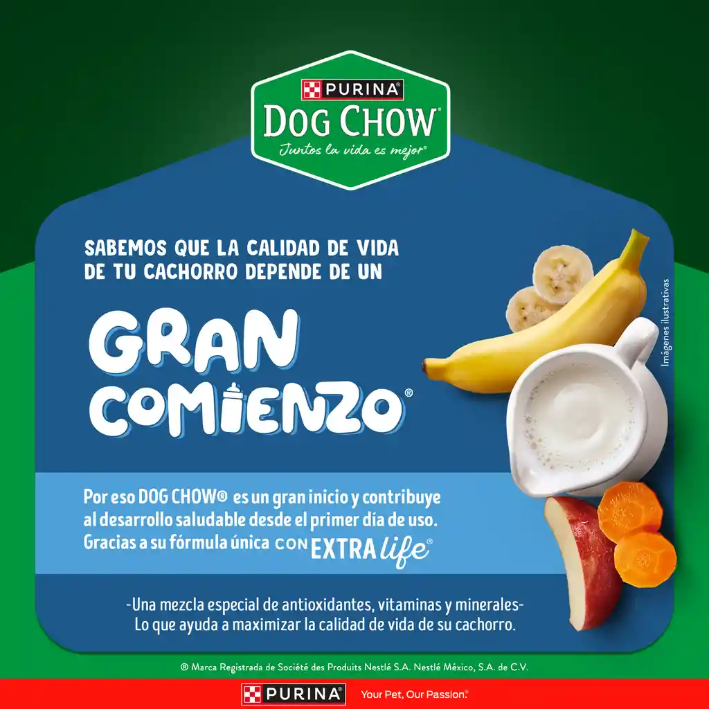 Comida para perro Dog Chow Cachorro medianos y grandes x 8 kg