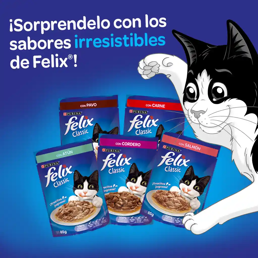 Comida para Gato FELIX Pack Surtido x8 - Sobres