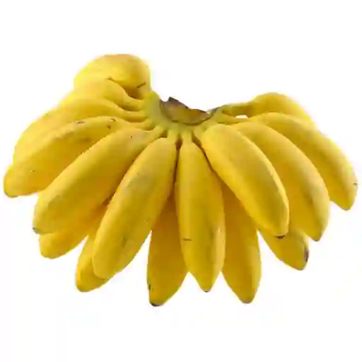 Murrapo
