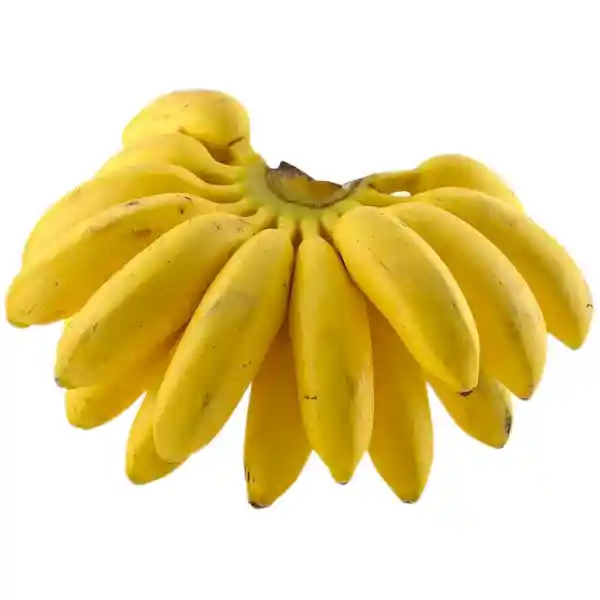 Murrapo