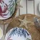 Ambiente Gourmet Set De Figuras Marinas