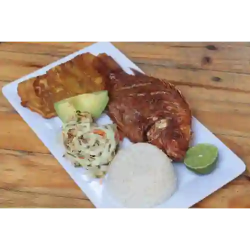 Tilapia