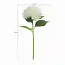 Ambiente Gourmet Flor Artificial Hortensia Blanca
