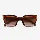 B+D Gafa Sol Brise Café Brillante
