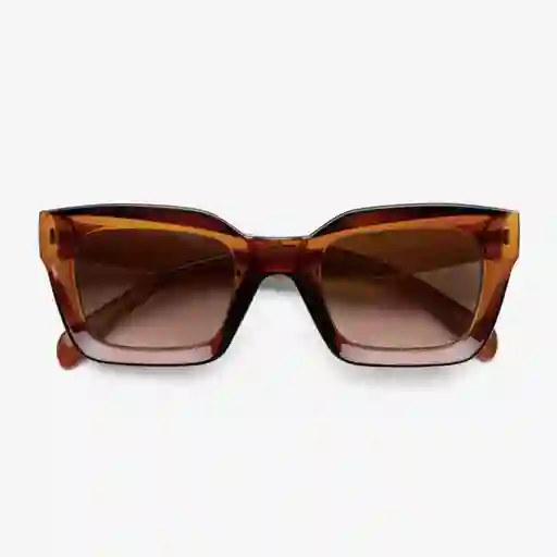 B+D Gafa Sol Brise Café Brillante
