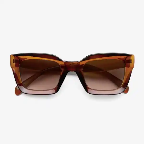 B+D Gafa Sol Brise Café Brillante