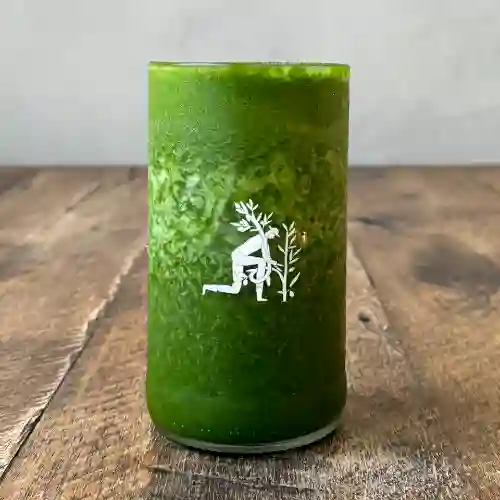 Jugo verde - detox by alè 400 ml