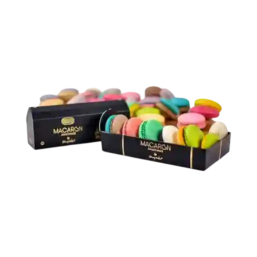 Macaron - Caja Anatomie