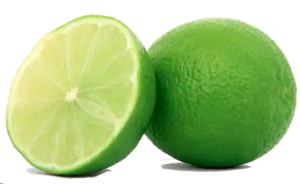 Limon Comun