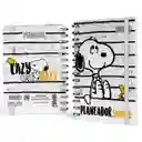 Planeador Snoopy y Woodstock