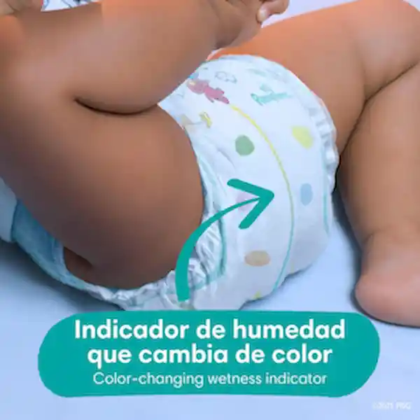 Pampers Pañales Baby-Dry Talla 5 x 112 Unidades
