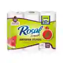 Rosal Plus Toalla de Cocina Rápida Absorción