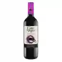 San Pedro Gato Negro Vino Tinto Carmenère