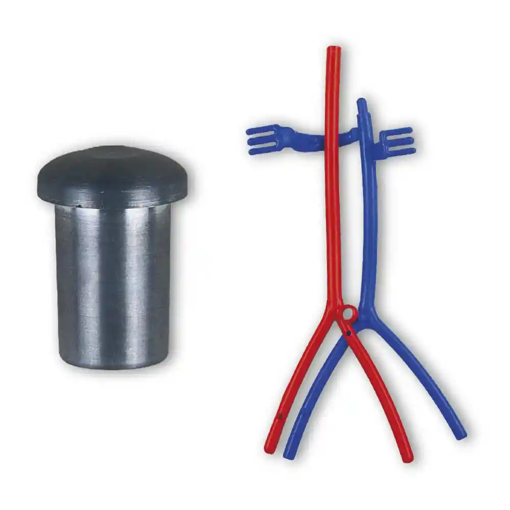 Venas Inferiores Arterias Inferiores Peso Peana Rba