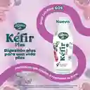 Kéfir Plus Alpina sabor frutos del bosque 1000g