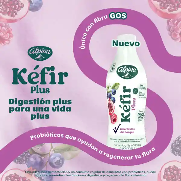 Kéfir Plus Alpina sabor frutos del bosque 1000g