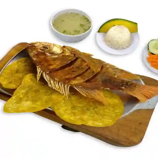 Mojarra