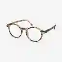 B+D Gafas Reading Loop Sandy Carey + 1.50