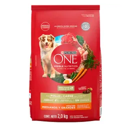 Purina One Alimento para Perro Adulto Sabor Pollo y Carne